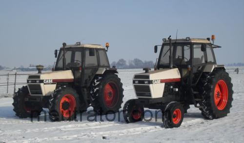 David Brown 1694 ficha tecnica